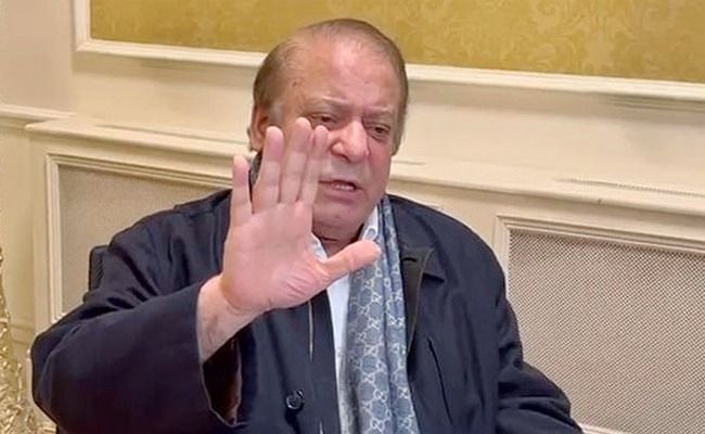 ShariF_img.jpeg