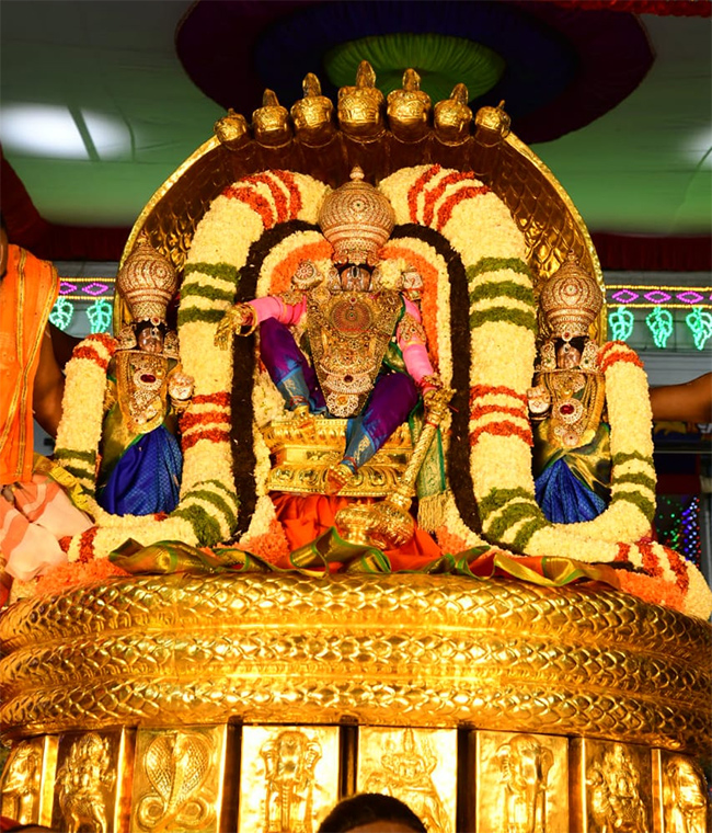 Tirumala_20Brahmotsavam_202023_20Photos-11.jpg 11