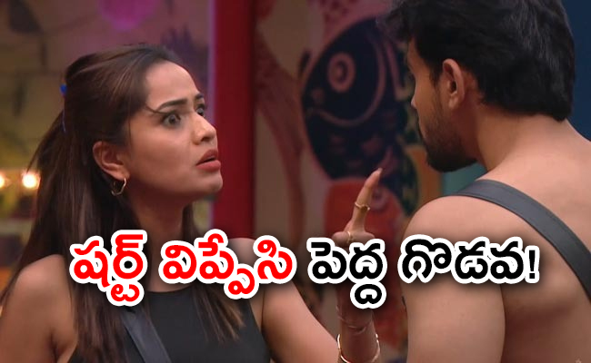 bigg-boss-7-telugu-day-17-episode-highlights.jpg