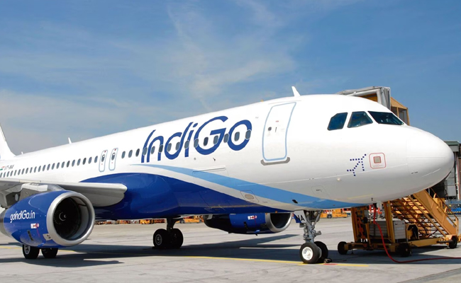 indigo-softdrinks.jpg
