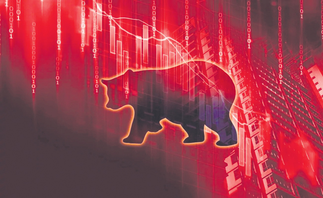 BEAR-MARKET.jpg
