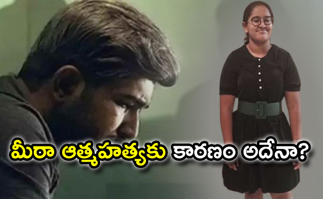 meera_20vijay_20antony.jpg