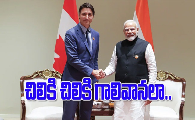 narendramodi_img.jpeg