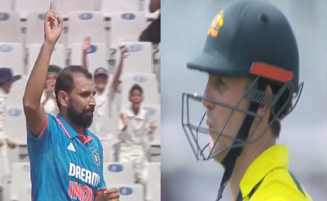 shami-marsh.jpg