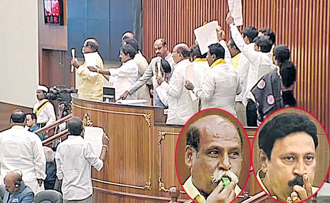 tdp.jpg