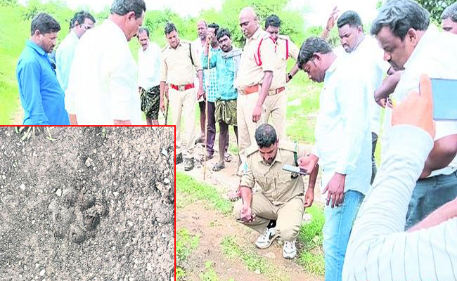 Chirutha_20Puli.jpg
