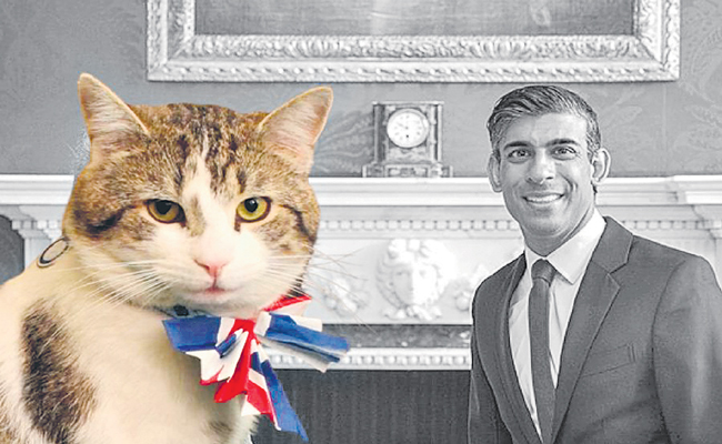 Larry-and-Sunak-collage.jpg