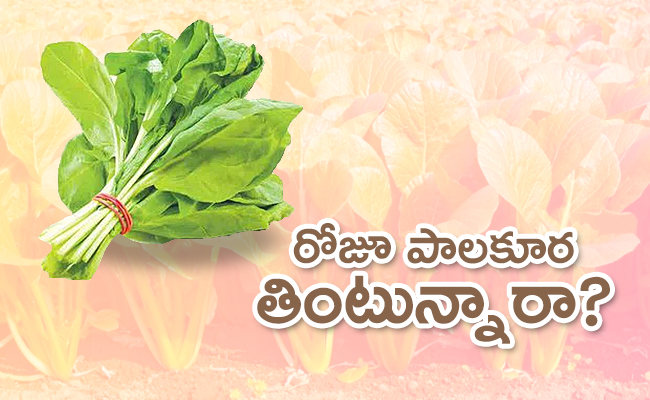 palakura_650x400.jpg