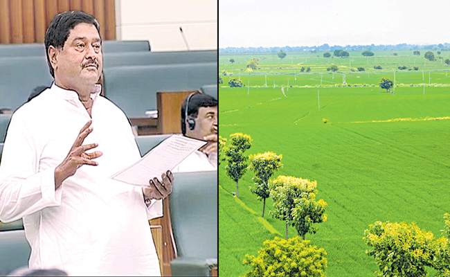 AGRICULTURE-LANDS.jpg