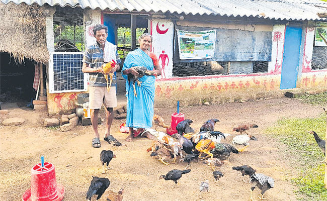 Female-Farmers-Country-Chicken-Farms-01.jpg