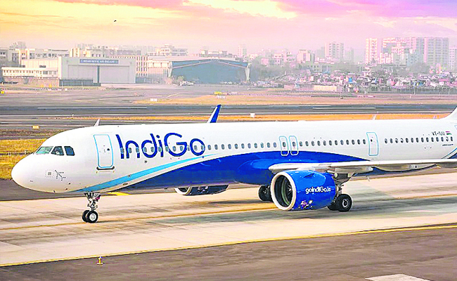 INDIGO.jpg