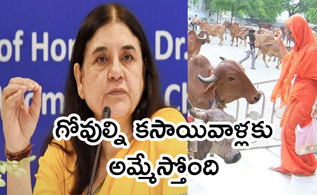 ISKCON-Reacts-On-BJP-MP-Maneka.jpg
