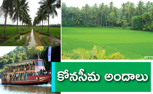Konaseema_20Andalu_650x400.jpg