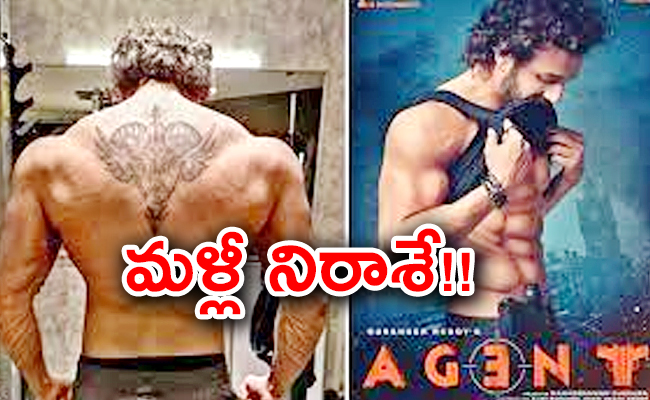 Akhil-Akkineni.jpg