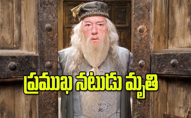 harry-potter-Michael-Gambon.jpg