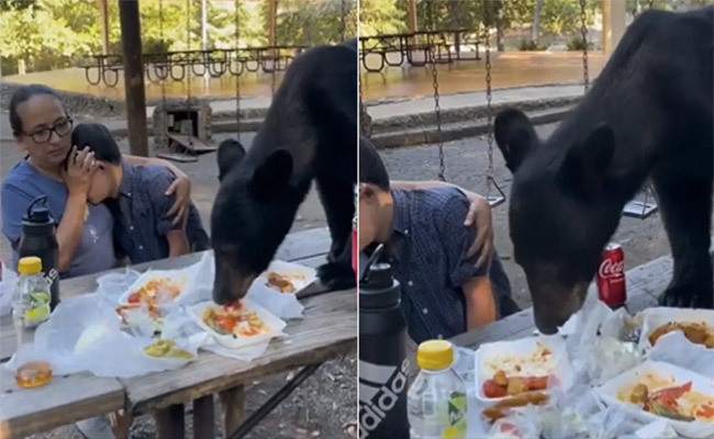 zoo-park.jpg