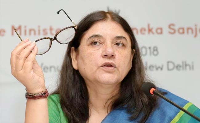 Menaka-Gandhi.jpg