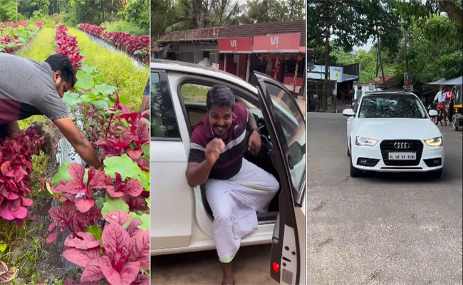 farmer-arrives-in-an-audi-car.jpg