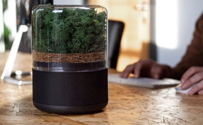 flora-air-purifier-review.jpg