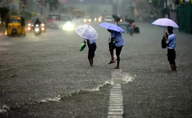 rain.jpg