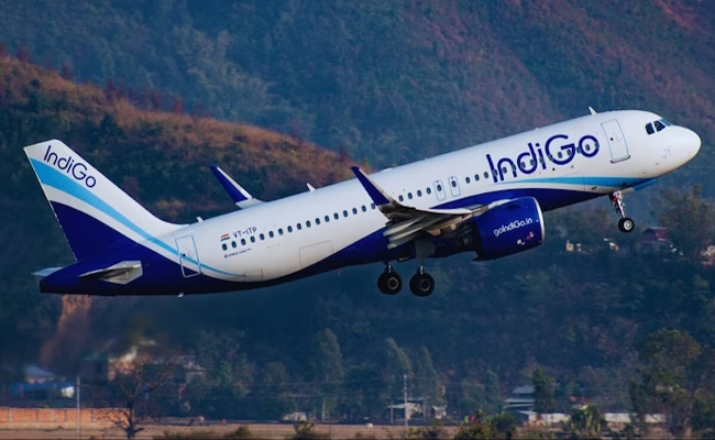 indigo.jpg