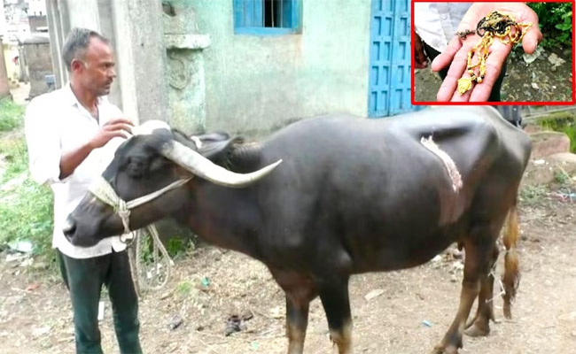 mangala-sutra.jpg
