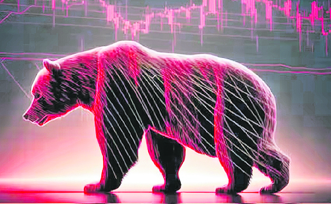 MARKET_20FALL123.jpg