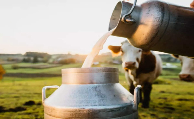 dairy.jpg