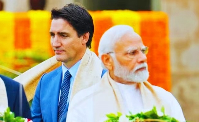 moditrudeau_img.jpeg