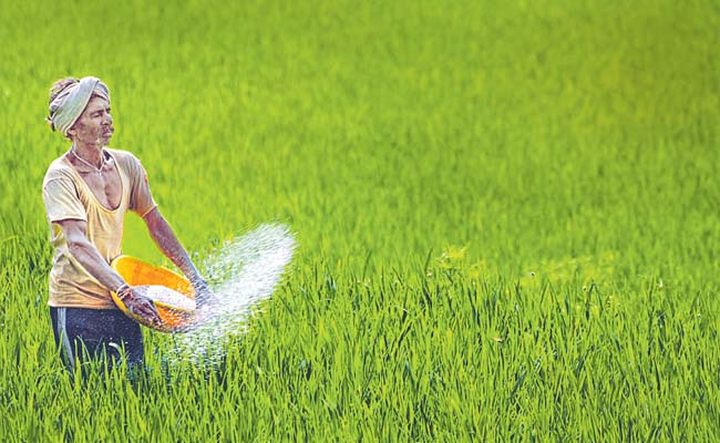 urea.jpg