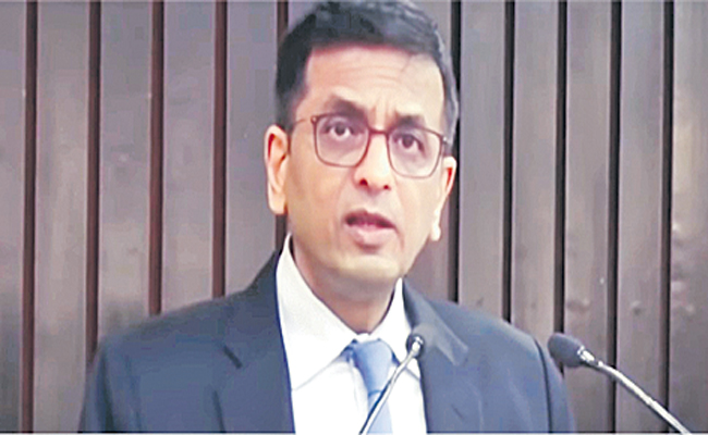 CJI.jpg