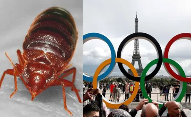 paris.jpg