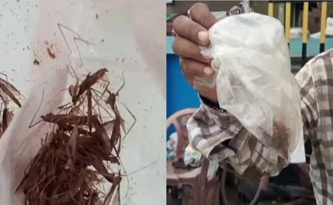 west-bengal.jpg
