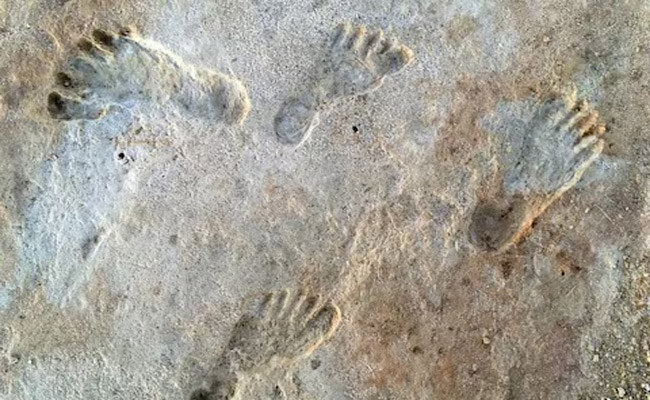 footprint.jpg