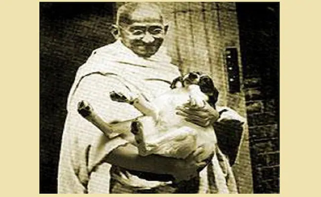 gandhi.jpg