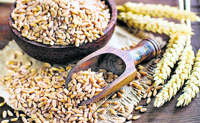 oats.jpg