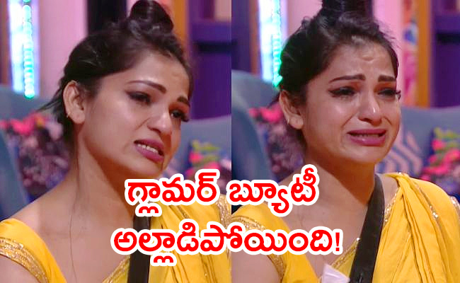 Bigg-Boss-7-Day-36-Highlights.jpg