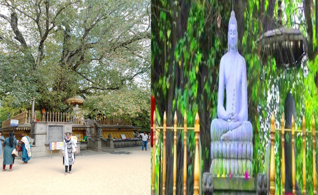 buddism.jpg