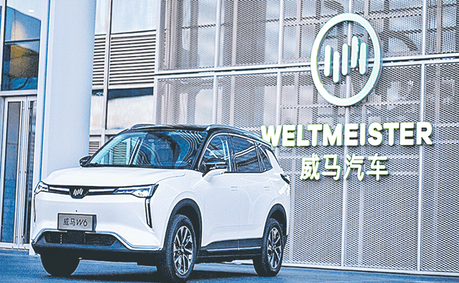 WM-MOTORS.jpg