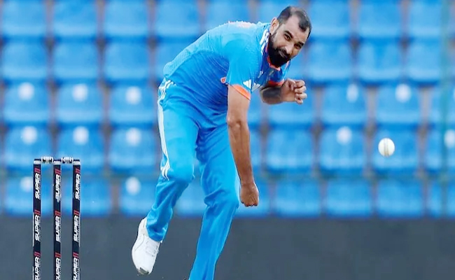 shami.jpg