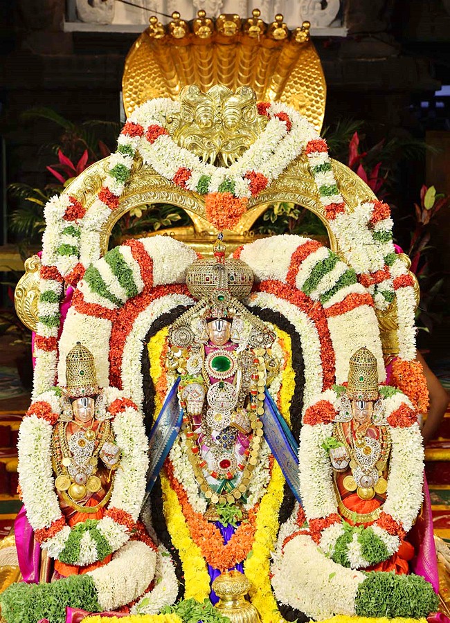 Tirupathi-1.jpg 2
