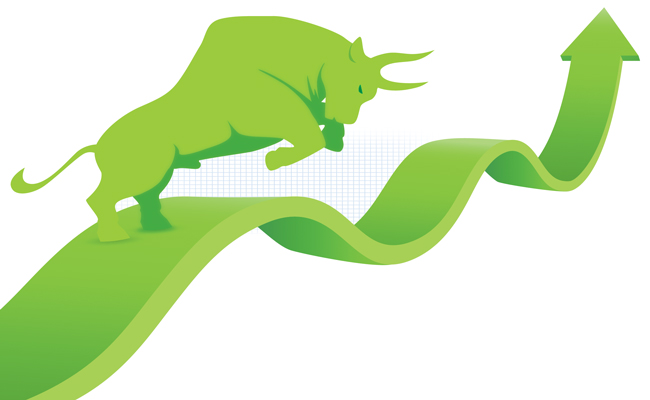 BULL-1209590753.jpg