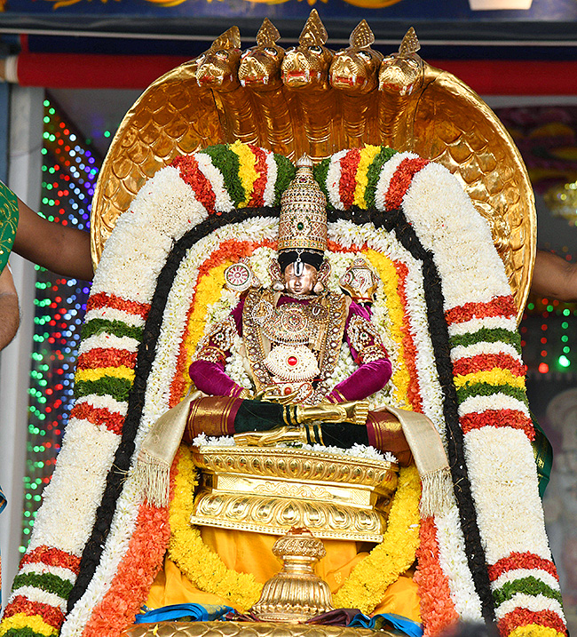 Navaratri_20Brahmotsavalu_20at_20Tirumala_202023-24.jpg 24