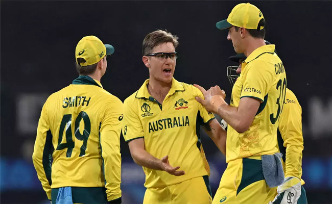 adam-zampa.jpg