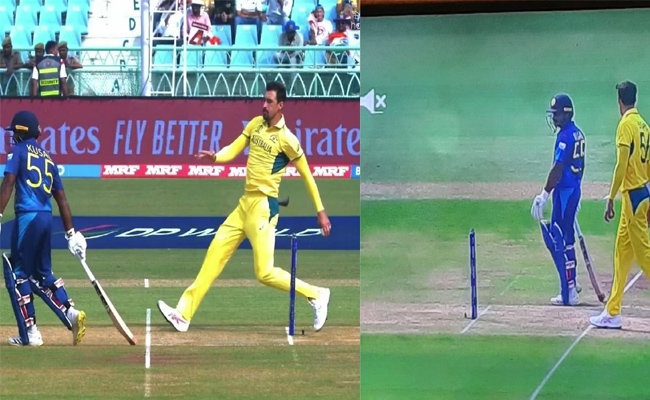 starc.jpg