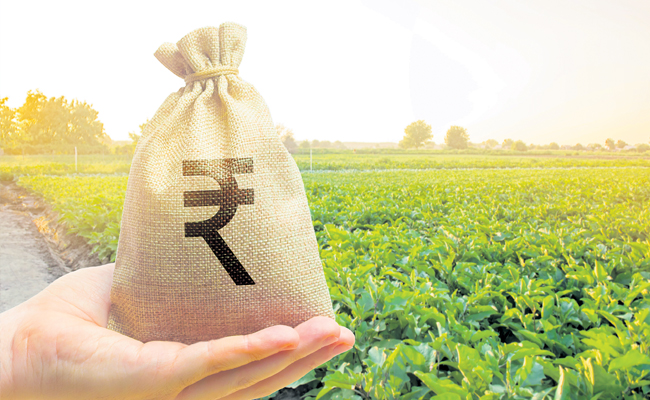 farm_20loan_202.jpg