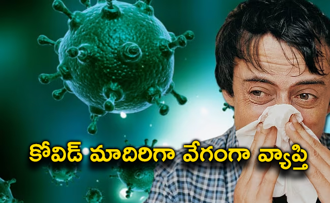 Influenza-Virus.jpg