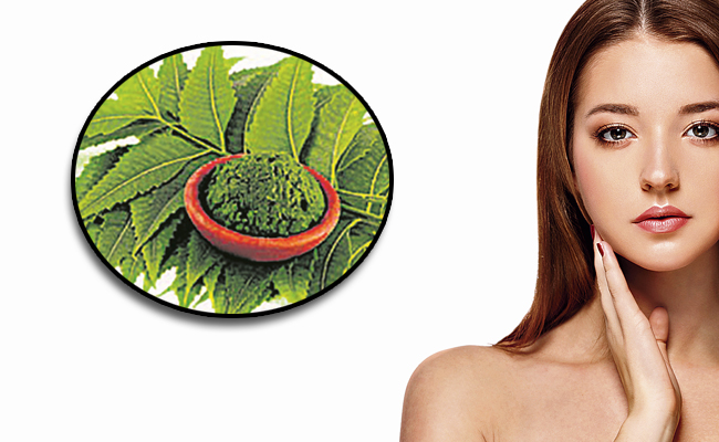 neem_20-leaves.jpg