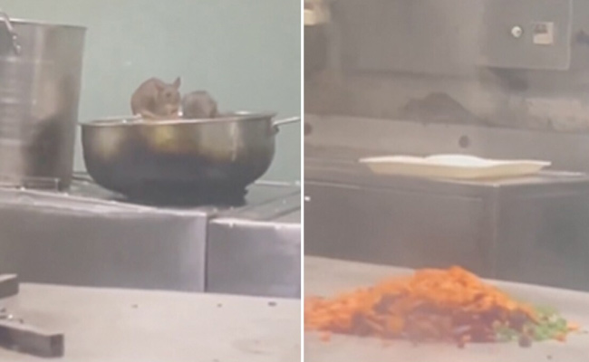 RatsFood_img.jpg