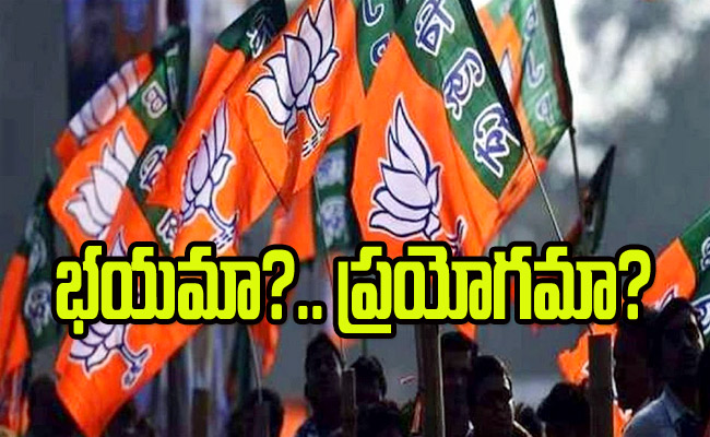bjp1.jpg